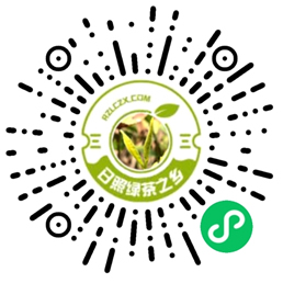 日照绿茶之乡