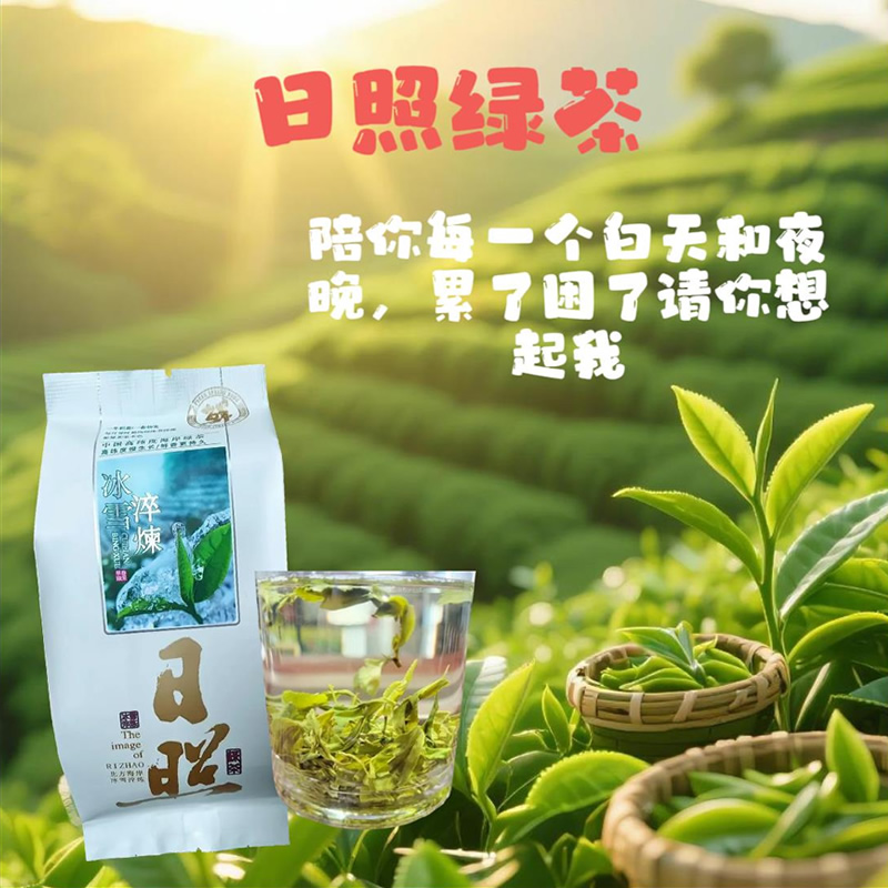 日照绿茶2025年春茶新茶日照河山绿茶实惠装