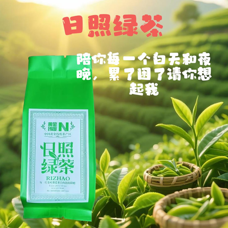 日照绿茶2025春茶新茶北方海岸绿茶新鲜采摘实惠装耐冲泡栗香浓郁商务茶500g